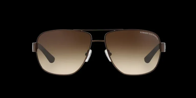 Hot Armani Exchange 0AX2012S 605813 Solglasögon