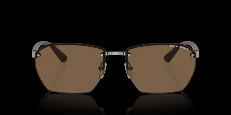 Best Armani Exchange 0AX2048S 608573 Solglasögon