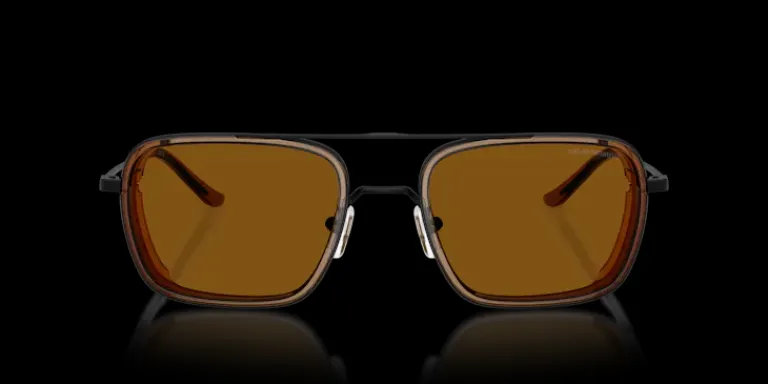 Online Emporio Armani 0EA2162 300163 Solglasögon