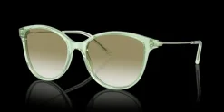 Clearance Emporio Armani 0EA4220 61078E Solglasögon