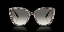 Emporio Armani 0EA4214U 605811 Solglasögon