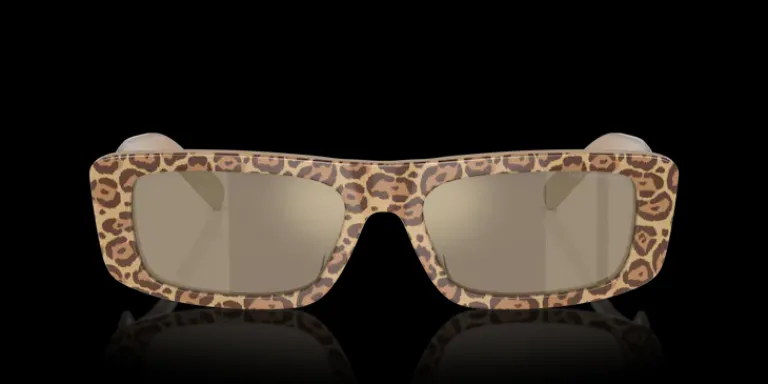 Hot Emporio Armani 0EA4229U 61195A Solglasögon