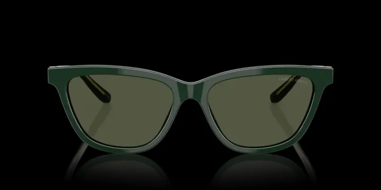 Discount Giorgio Armani 0AR8221 617331 Solglasögon