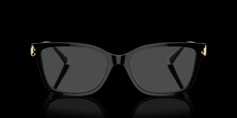 Sale Jimmy Choo 0JC3012 5000 Glasögonbåge