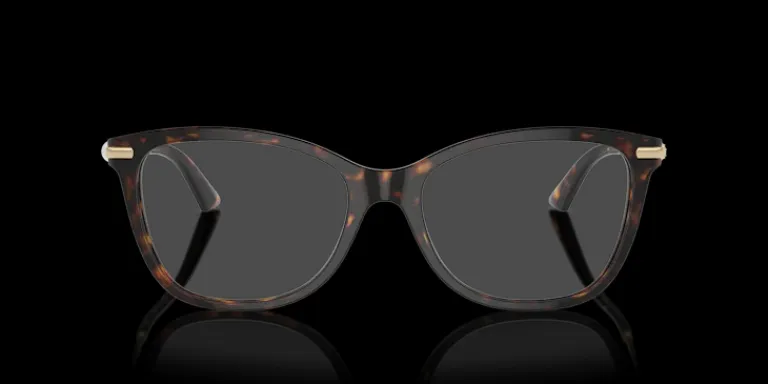 Jimmy Choo 0JC3007HB 5002 Glasögonbåge