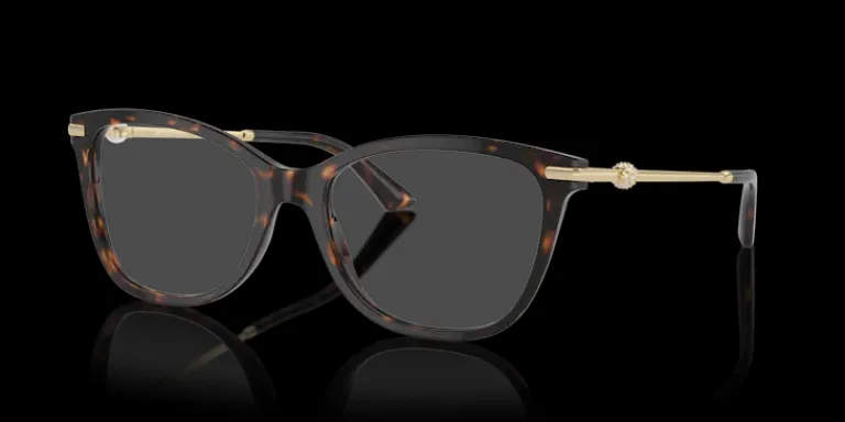 Jimmy Choo 0JC3007HB 5002 Glasögonbåge