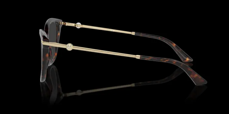 Jimmy Choo 0JC3007HB 5002 Glasögonbåge