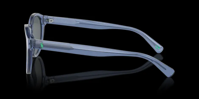 Outlet Polo Ralph Lauren 0PH4192 609287 Solglasögon