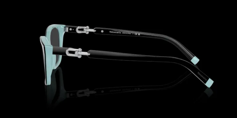 Tiffany & Co. Tiffany & Co. 0TF2229/ 8055 Glasögonbåge