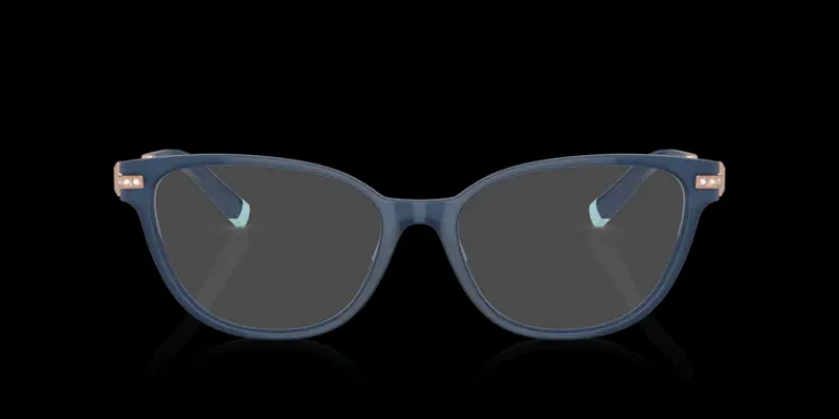 Tiffany & Co. Tiffany & Co. 0TF2223 8315 Glasögonbåge