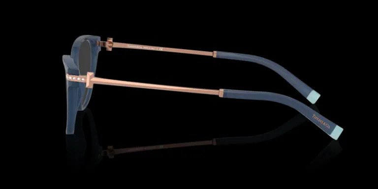 Tiffany & Co. Tiffany & Co. 0TF2223 8315 Glasögonbåge