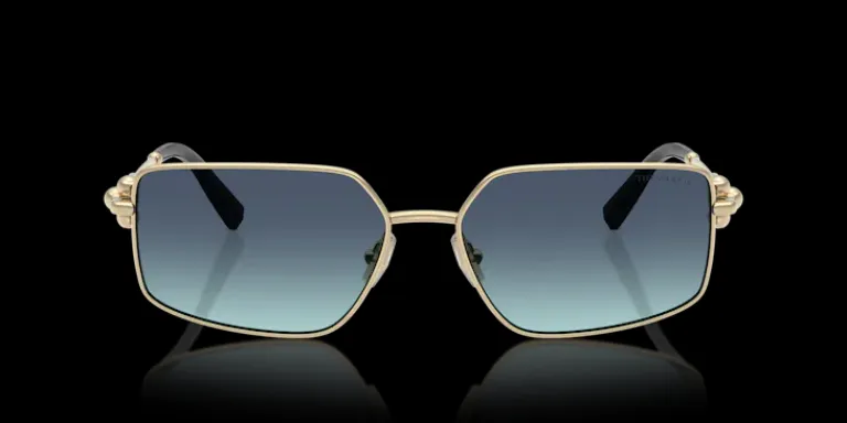 New Tiffany & Co. Tiffany & Co. 0TF3111 62029S Solglasögen