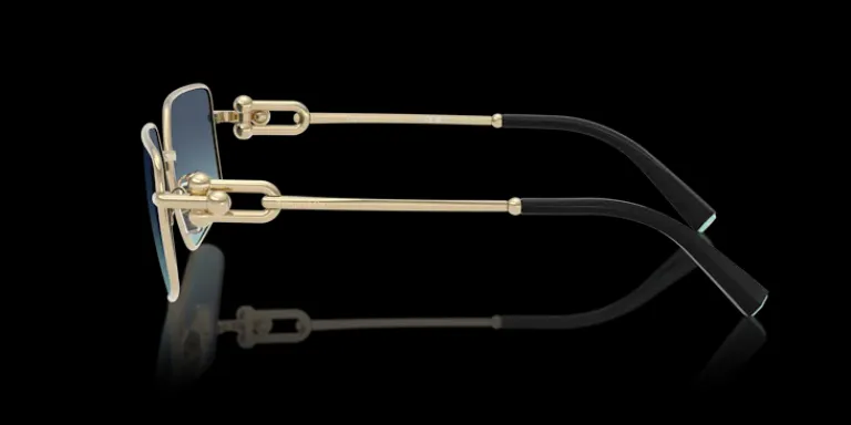 New Tiffany & Co. Tiffany & Co. 0TF3111 62029S Solglasögen