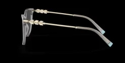 Clearance Tiffany & Co. Tiffany & Co. 0TF2220B 5216 Glasögonbåge