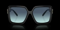 Clearance Tiffany & Co. Tiffany & Co. 0TF4206U 80019S Solglasögon